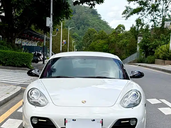 Porsche Cayman 2012