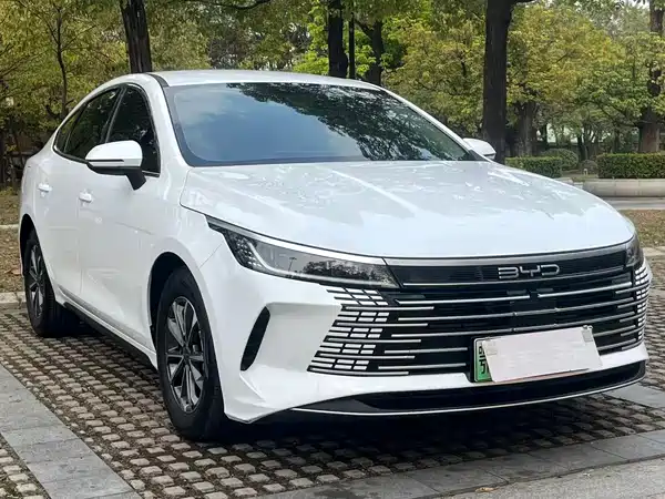 BYD Destroyer 05 2024