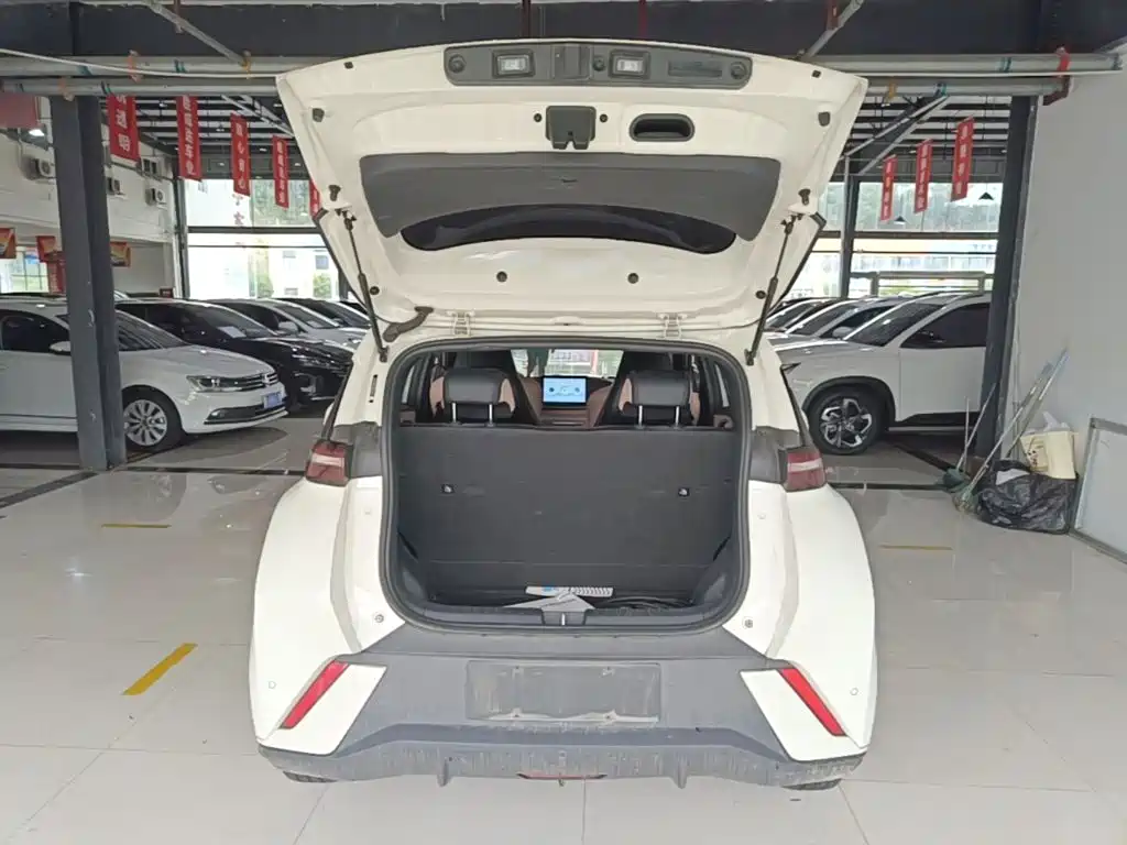 BYD Seagull 2023 — фото 19