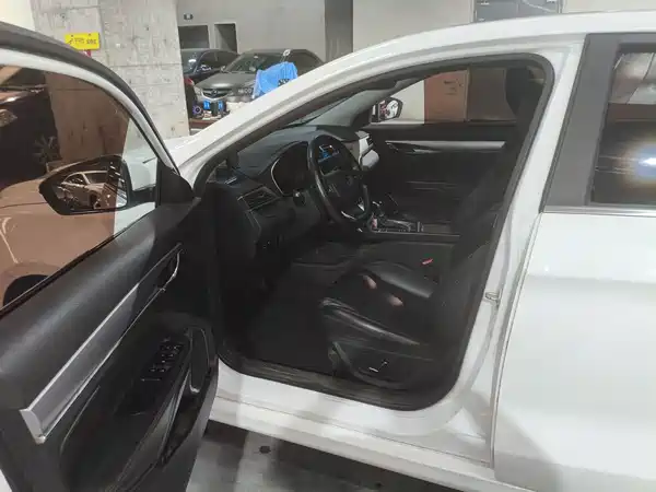 Geely Binrui 2019