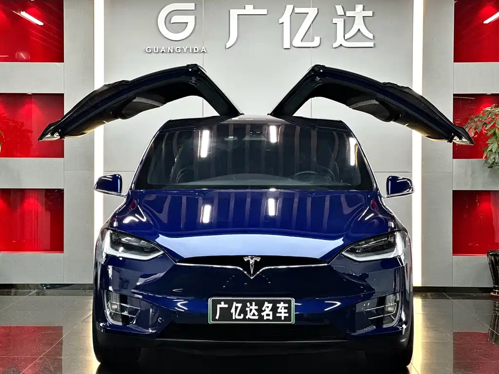 Tesla Model X 2019 — фото 14