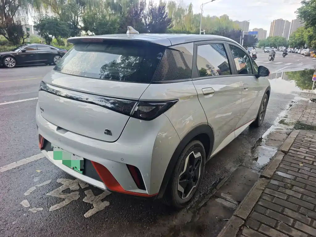 BYD Dolphin 2022