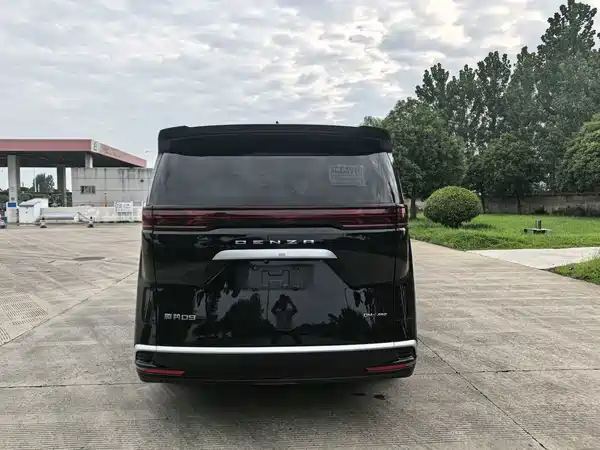 Denza D9 2024