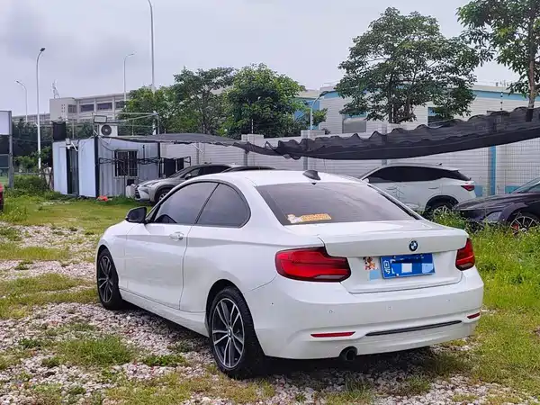 BMW 2 Series 2019