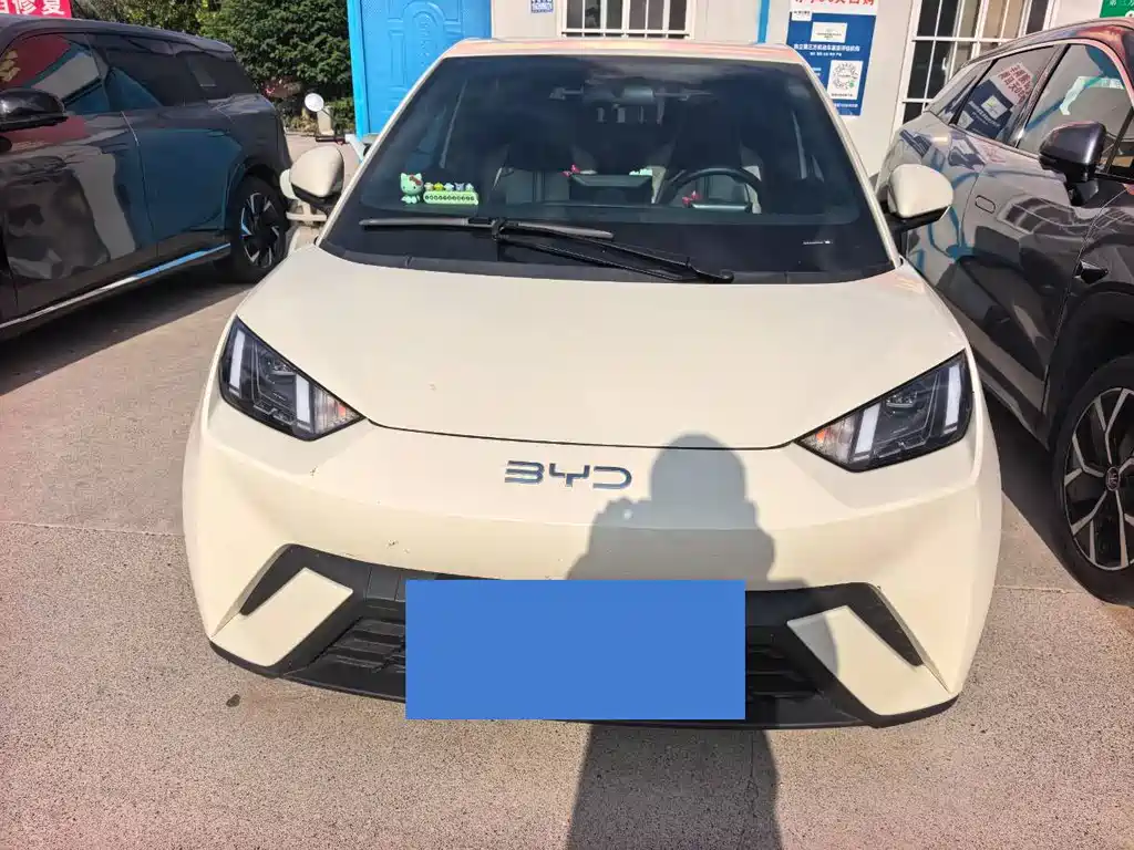BYD Seagull 2024