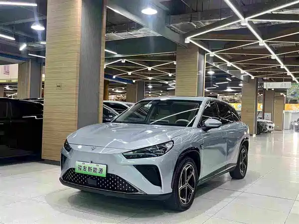 Neta L 2024