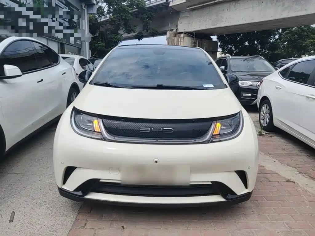 BYD Dolphin 2023