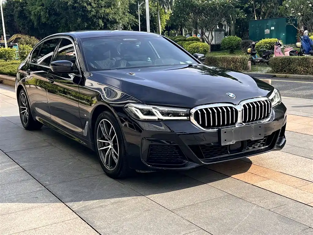 BMW 5 Series New Energy 2021 — фото 3