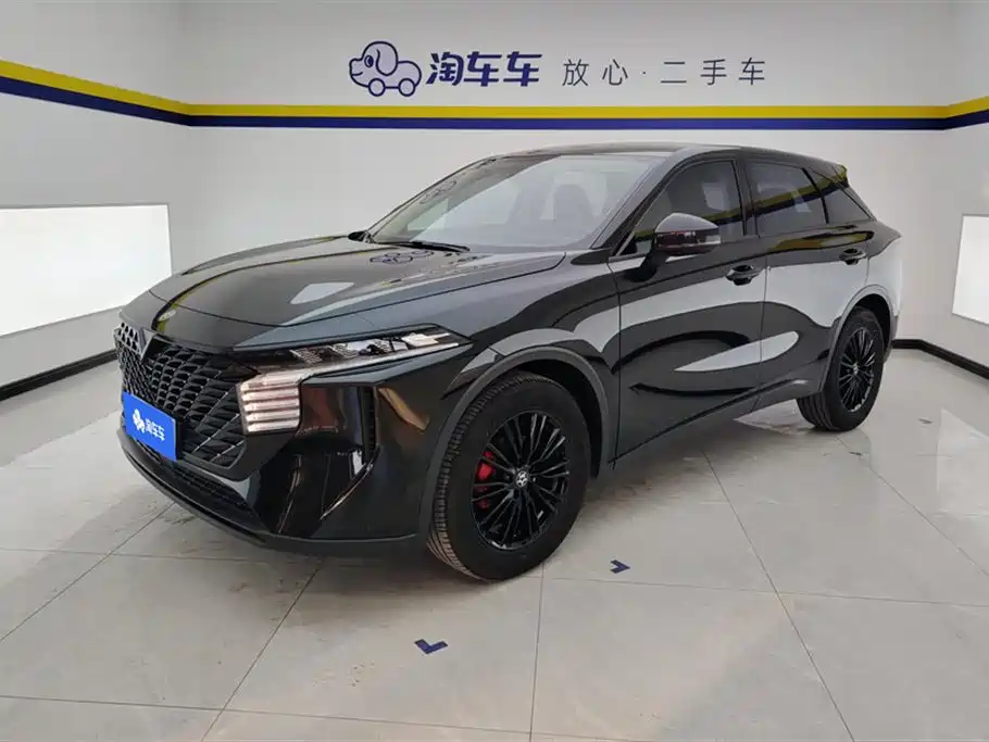 Venucia V 2023