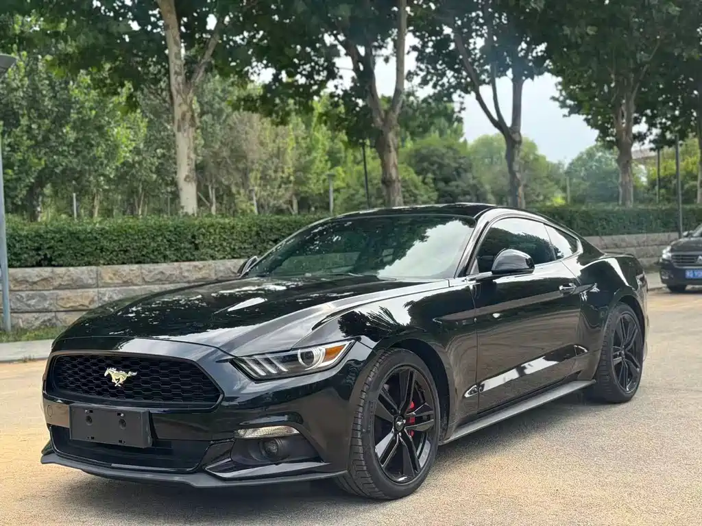 Ford Mustang 2016 — фото 1