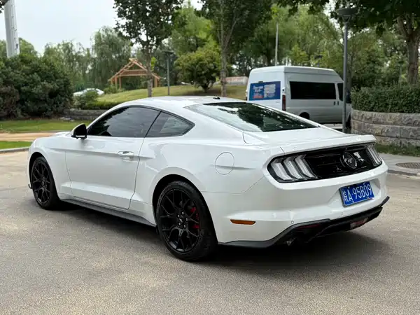 Ford Mustang 2019