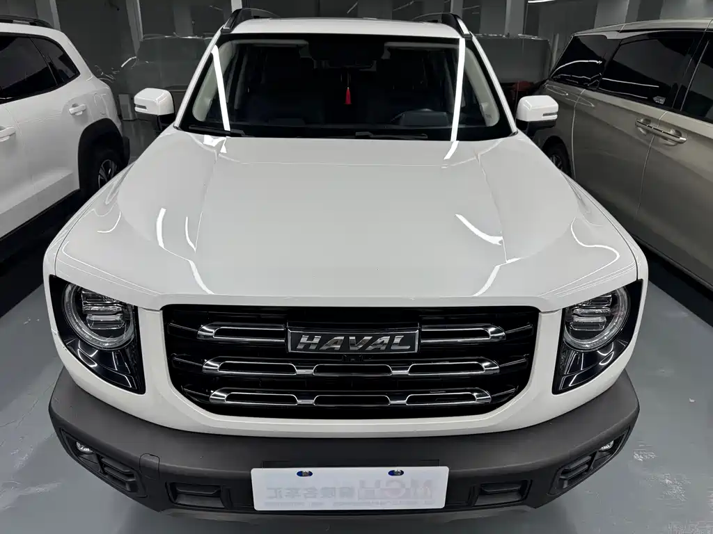 Haval Big Dog 2021