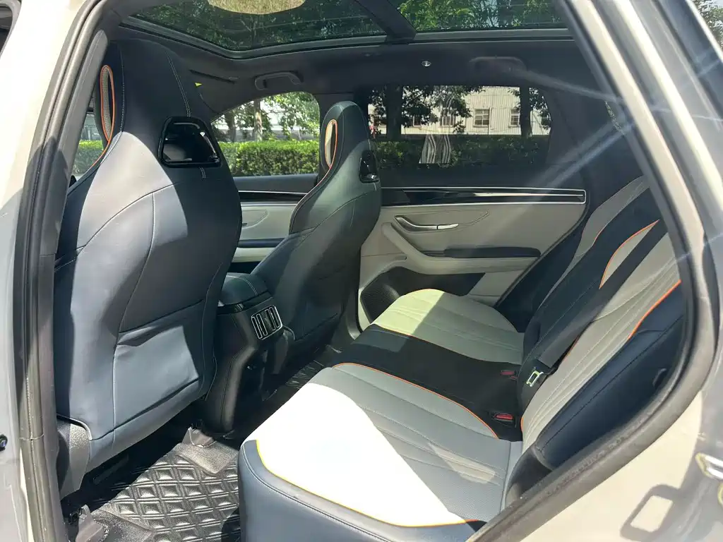BYD PLUS New Energy 2023 — фото 17