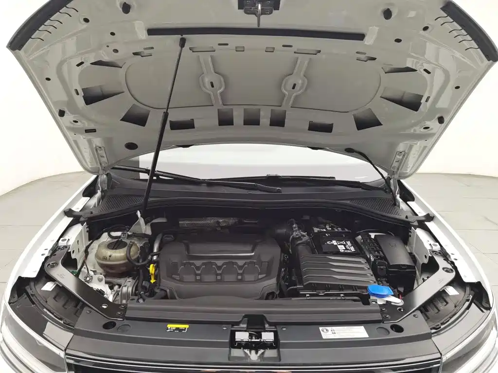 Volkswagen Tiguan L 2024