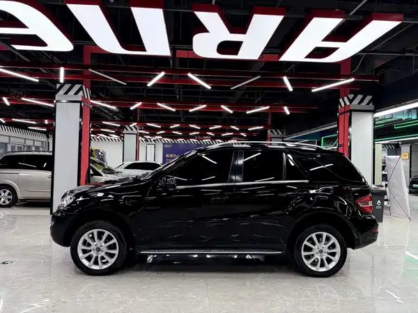 Mercedes-Benz M-Class 2010