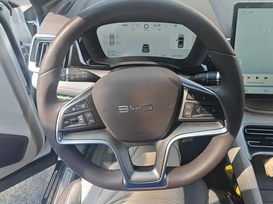 BYD Song PLUS New Energy 2025 — фото 15