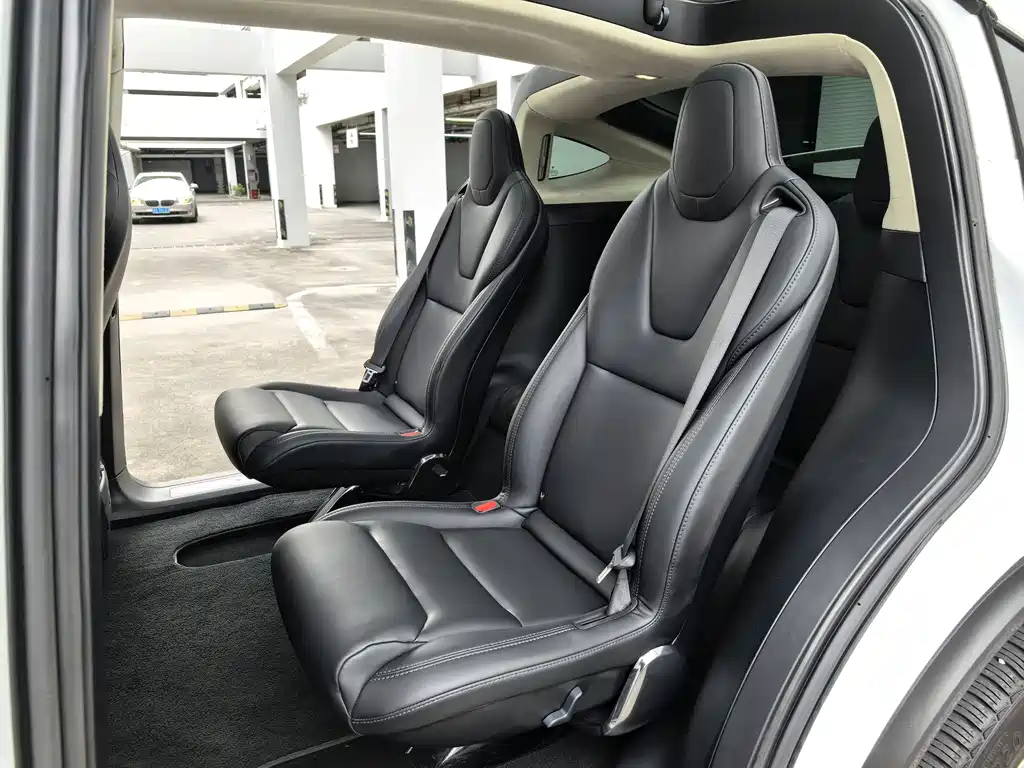 Tesla Model X 2019 — фото 8