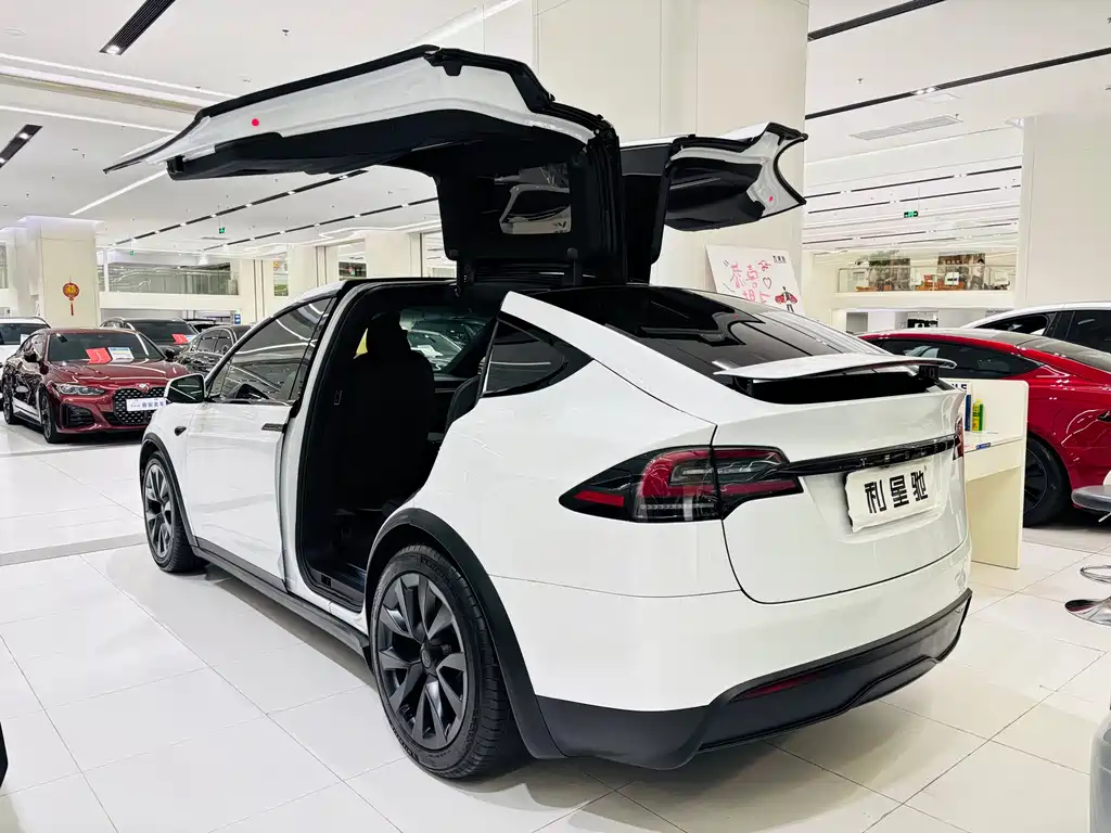 Tesla Model X 2023 — фото 3