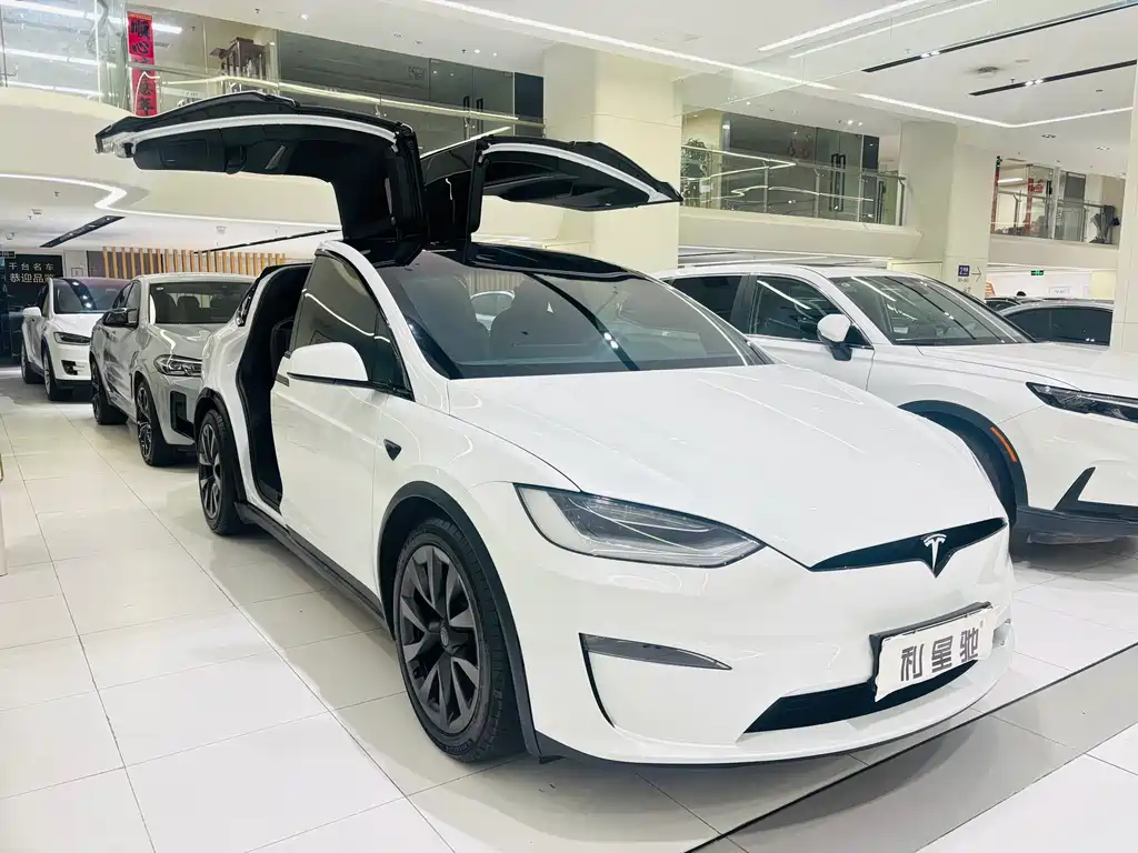 Tesla Model X 2023 — фото 2