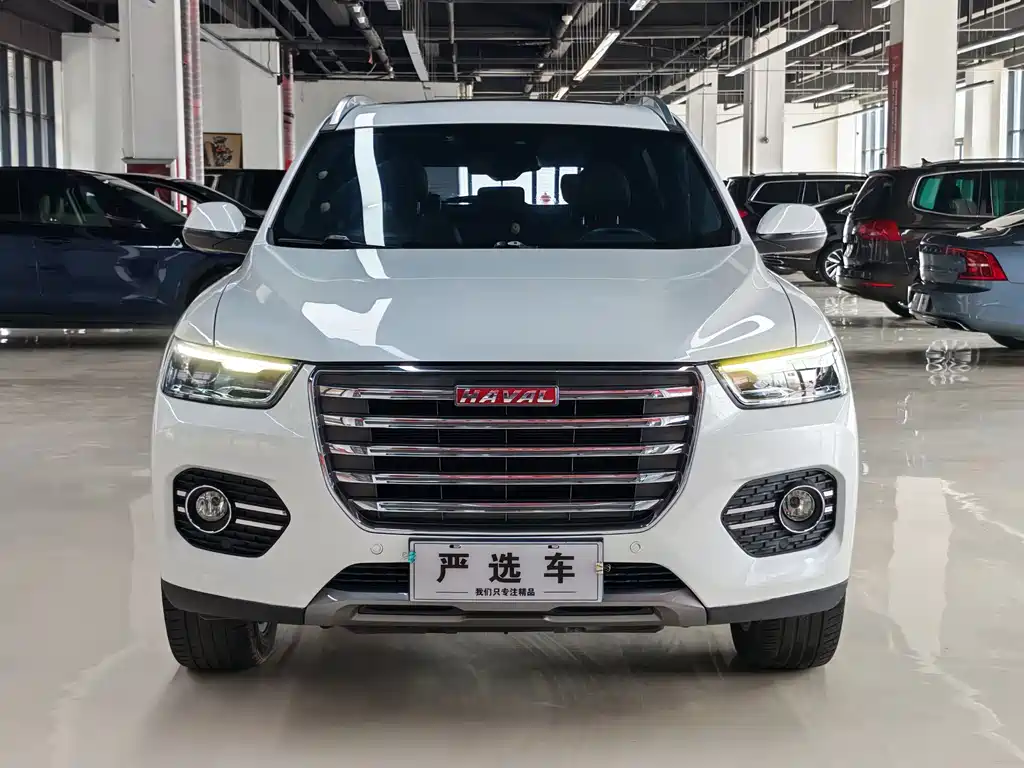 Haval H6 2017 — фото 2