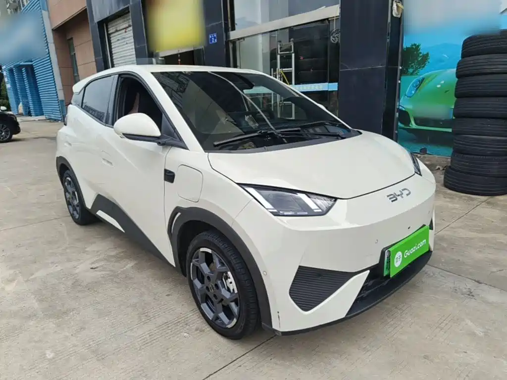 BYD Seagull 2025