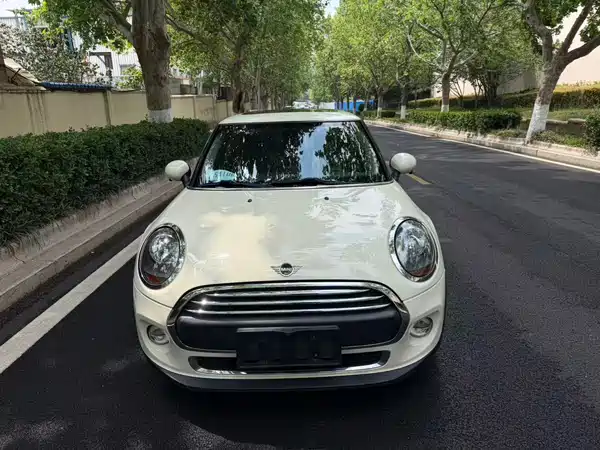 MINI MINI 2018