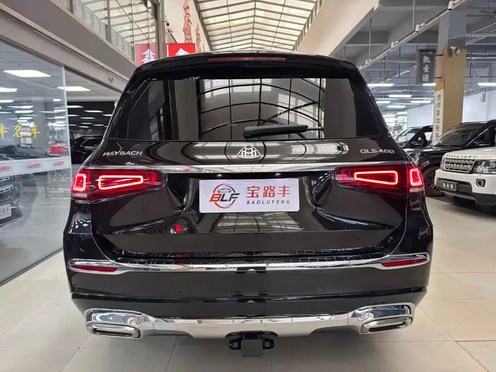 Mercedes-Benz GLS 2020 — фото 15