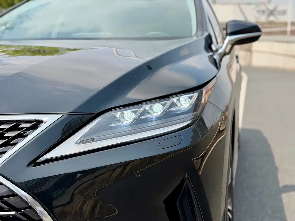 Lexus RX 2020 — фото 10