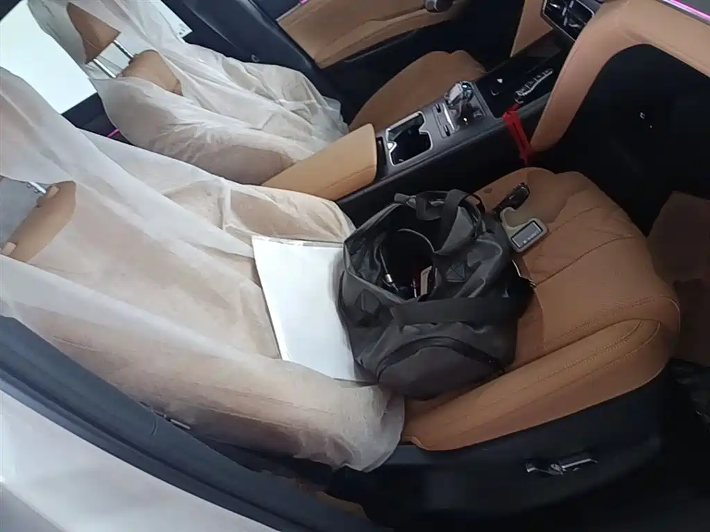 BYD L DM-i 2025 — фото 25