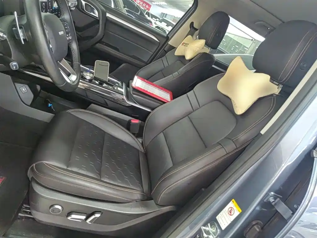 Haval Big Dog 2022 — фото 15