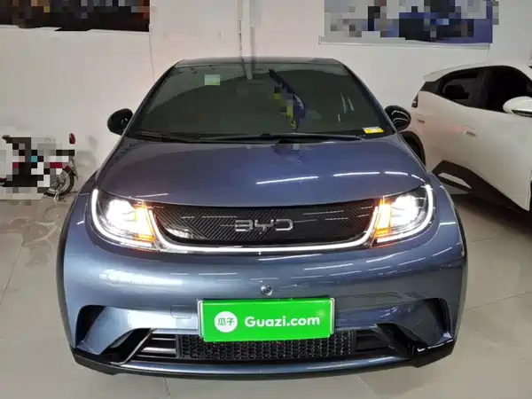 BYD Dolphin 2026