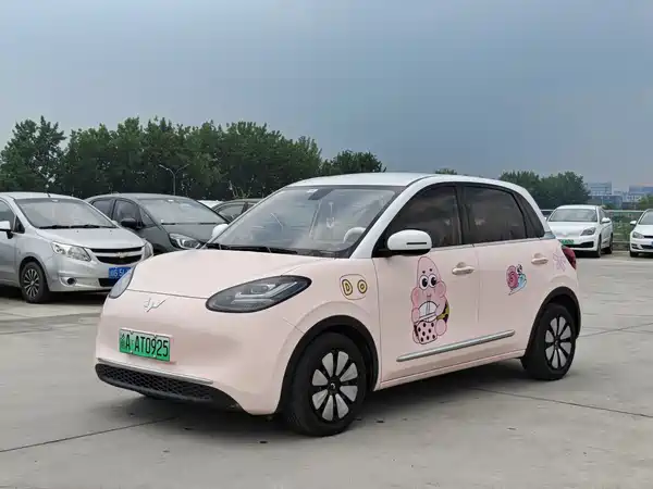 Wuling Bingo 2024