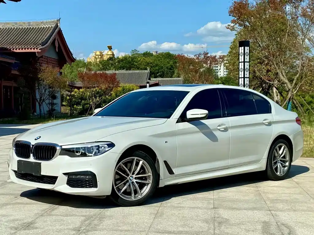 BMW 5 Series 2019 — фото 1