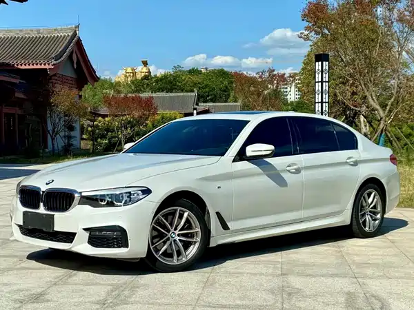 BMW 5 Series 2019