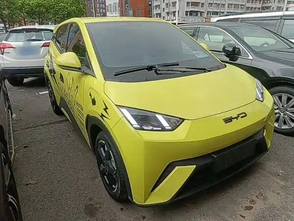 BYD Seagull 2024