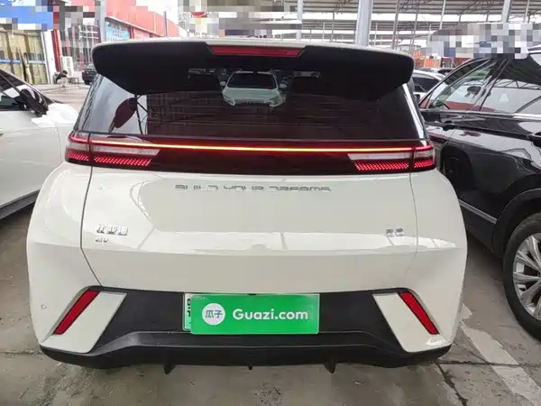 BYD Seagull 2024