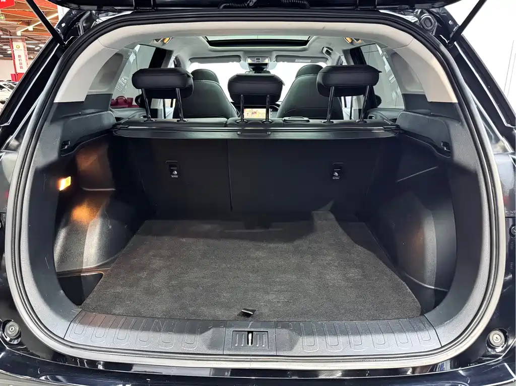 GAC Motor Trumpchi GS4 2020 — фото 24