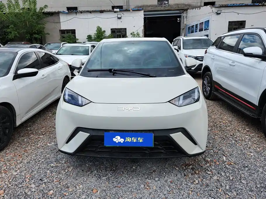 BYD Seagull 2024