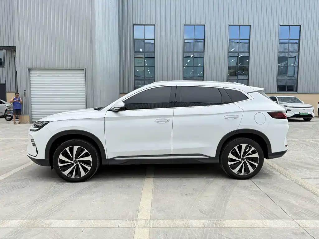 BYD Song PLUS New Energy 2024 — фото 2