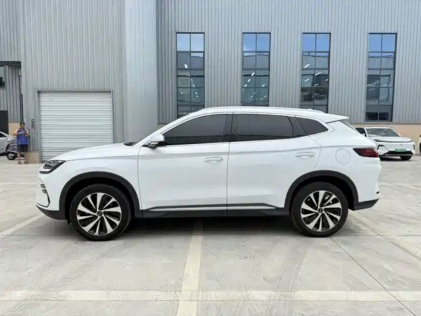 BYD Song PLUS New Energy 2024