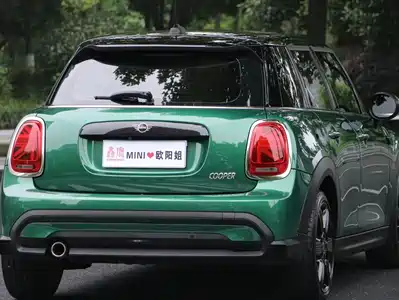 MINI MINI 2024