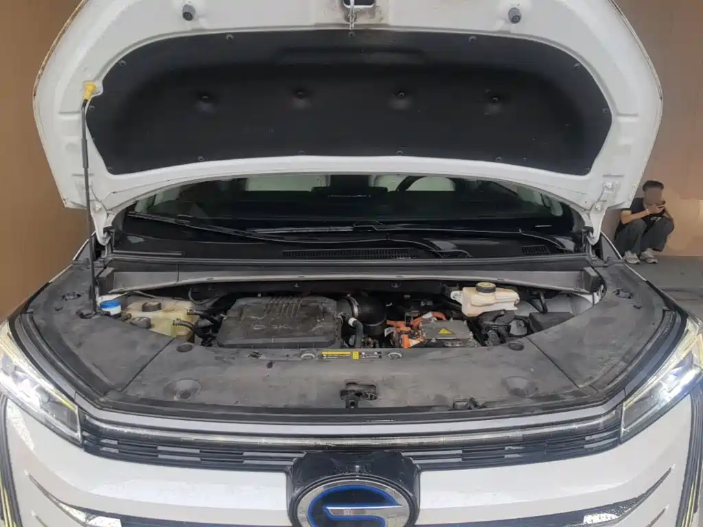 GAC Motor Trumpchi E9 2023 — фото 20