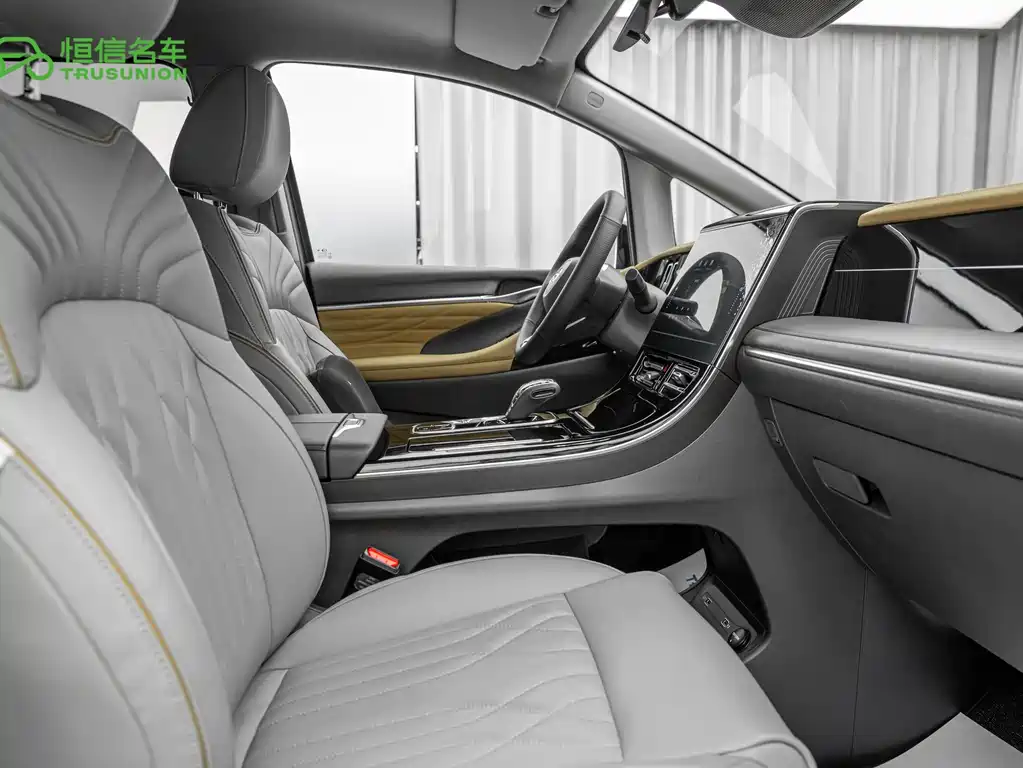 GAC Motor Trumpchi E9 2024 — фото 11