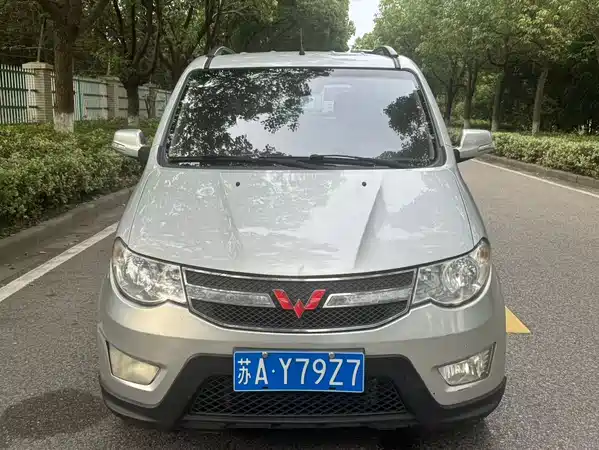 Wuling Hongguang 2014