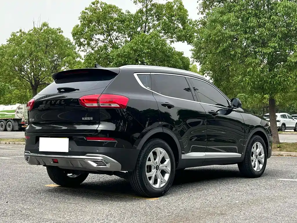 Haval H6 2021 — фото 9