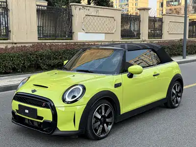 MINI MINI 2024