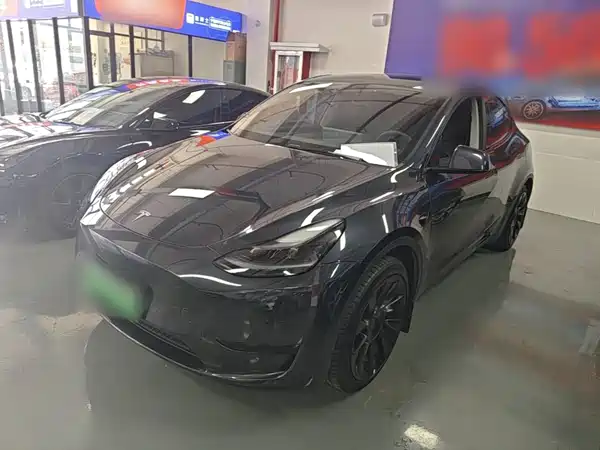 Tesla Model Y 2024