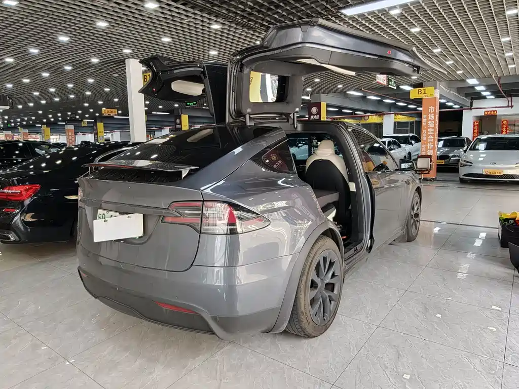 Tesla Model X 2023 — фото 7
