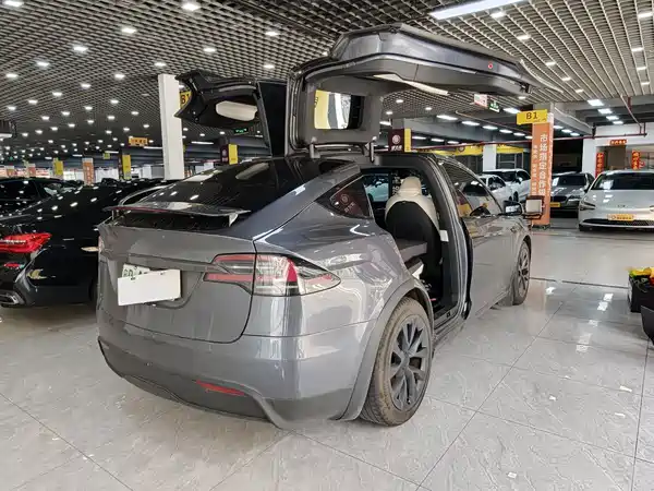Tesla Model X 2023