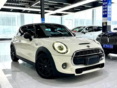 MINI MINI 2020